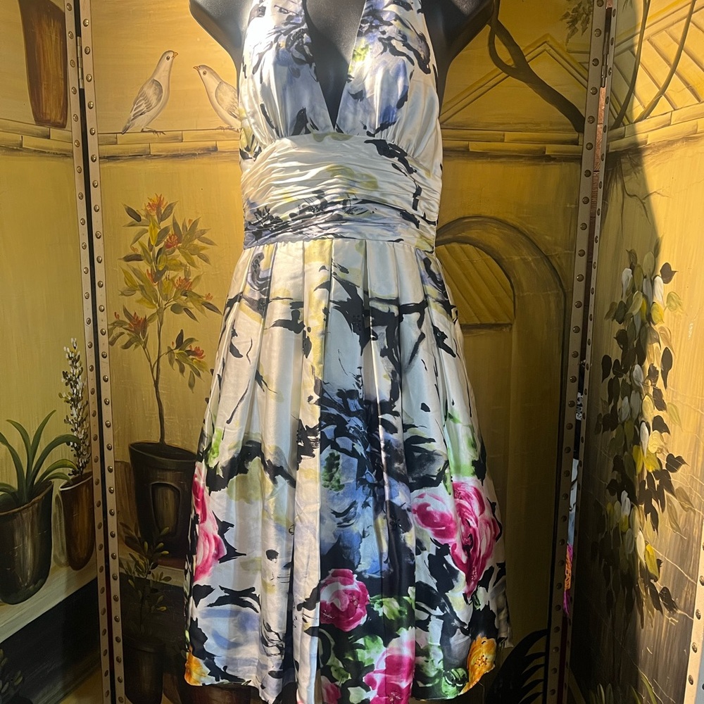 Adrianna Papell Multicolor Silk Backless Dress